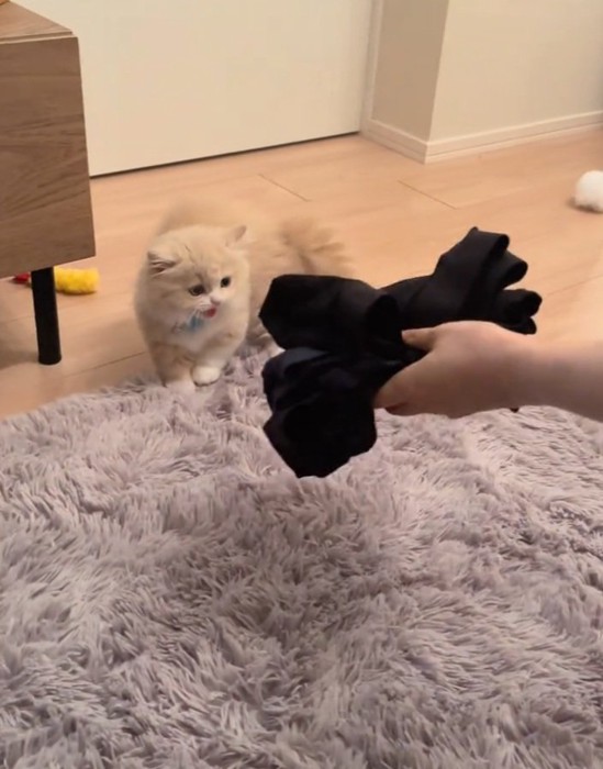 おパンツを凝視するもなかくん