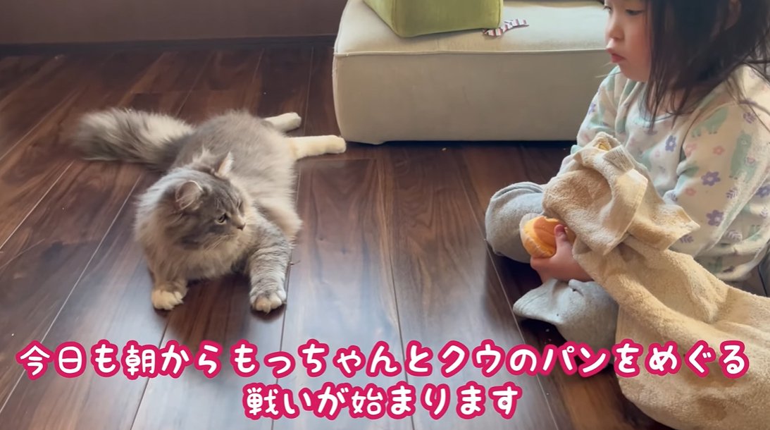 パンを見つめる猫と猫を見つめる子供