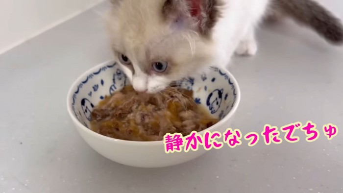 テロップ「静かになったでちゅ」