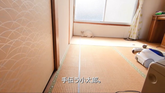 テロップ「手伝う小太郎」