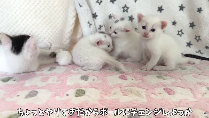 テロップ「ちょっとやりすぎだから～」