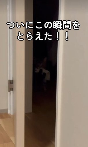 ドアの奥から顔をのぞかせるメルくん
