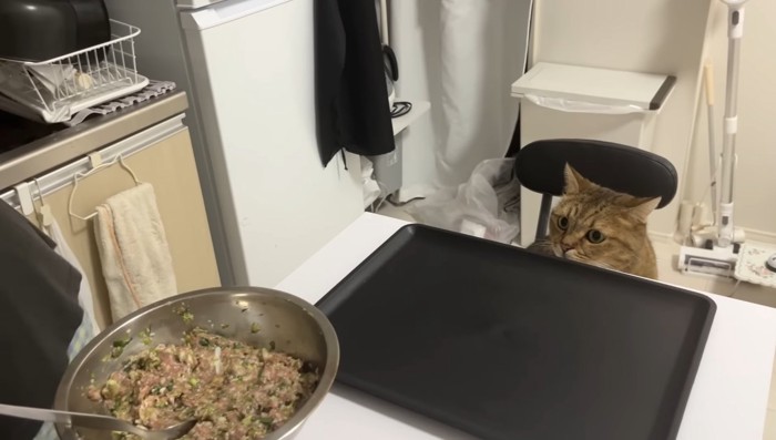 餃子の餡とみにらくん