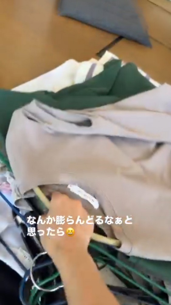 洗濯物を元の場所に戻す飼い主