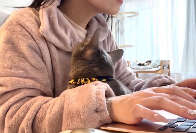 体勢を変える猫