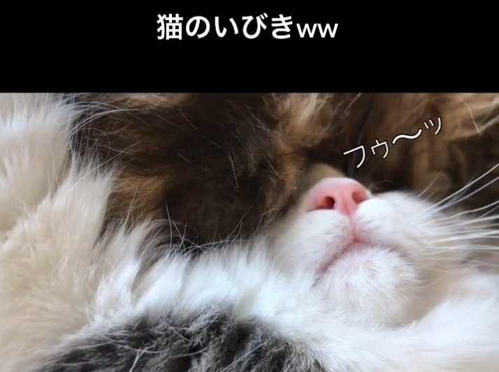 可愛いお口のサチちゃん