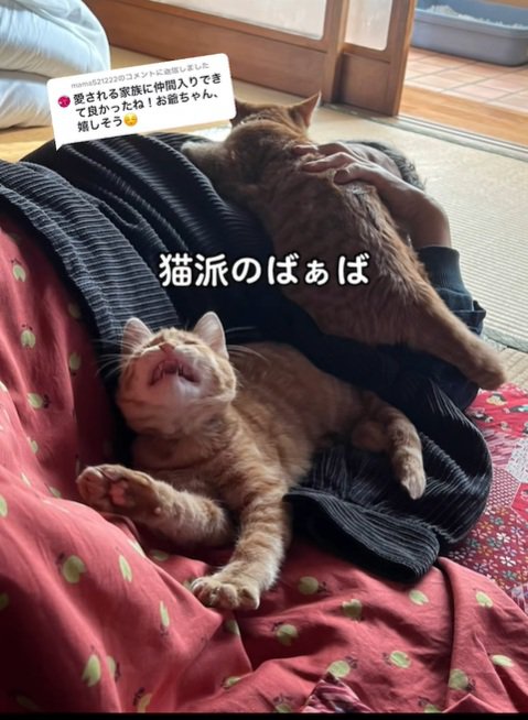 埋もれるおばあちゃん