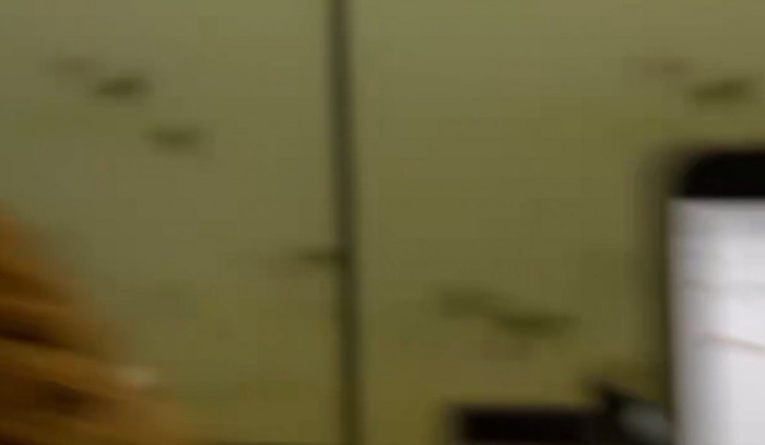 周囲を見まわす飼い主