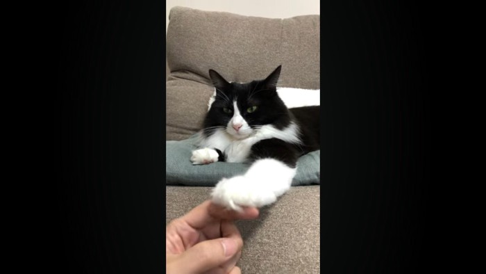 目を細めた表情