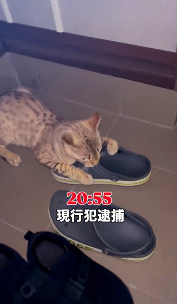 現行犯逮捕と書かれた写真