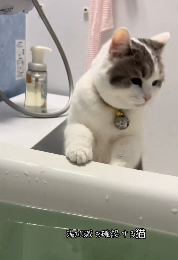 下を向くゆき坊ちゃん