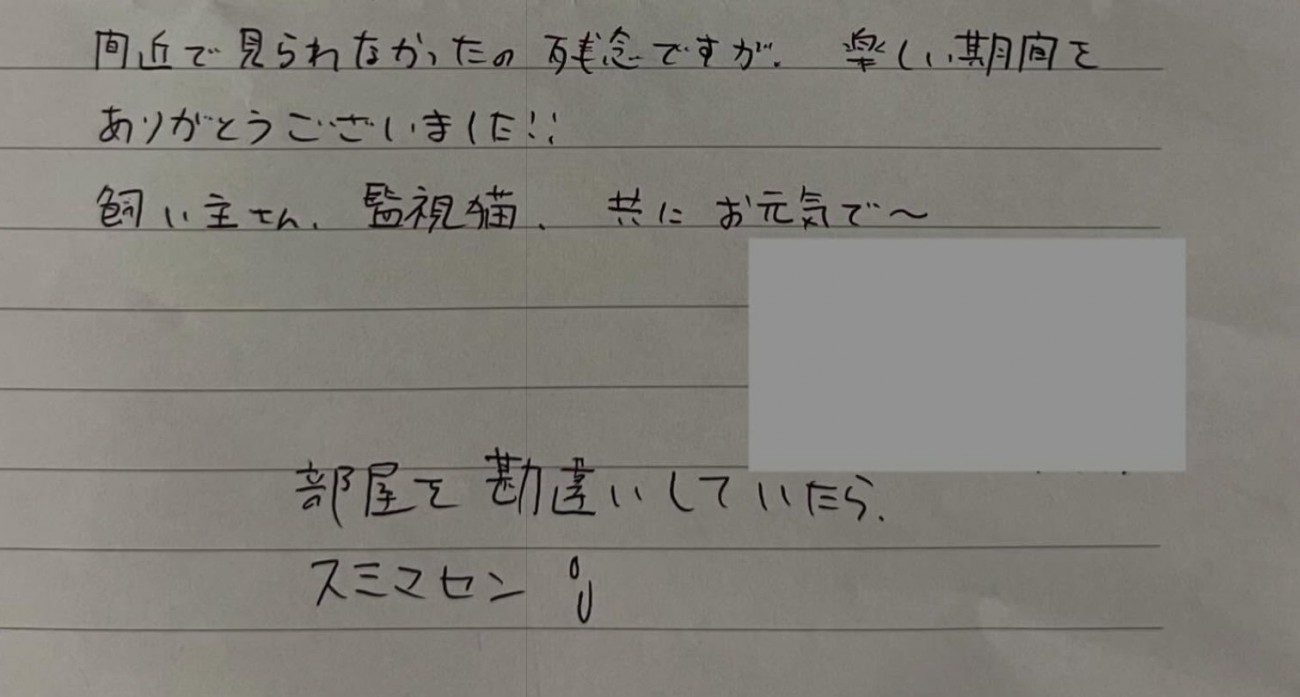 なんとお家の猫ちゃんが癒しになっていたのだとか！