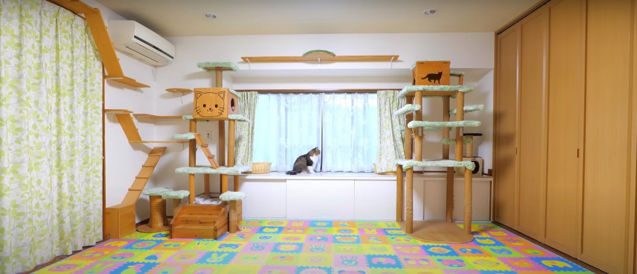 キャットタワーと猫%%いつもより静かな朝