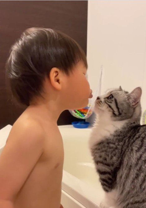 猫にキスをしようとしている子ども