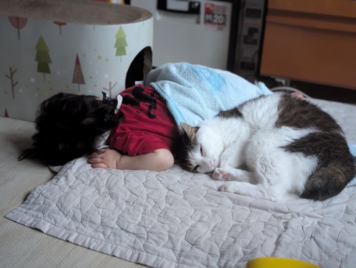 寝ている子どもと猫
