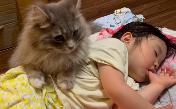 指しゃぶりをしながら寝ている子供とその上に上半身を乗せる猫