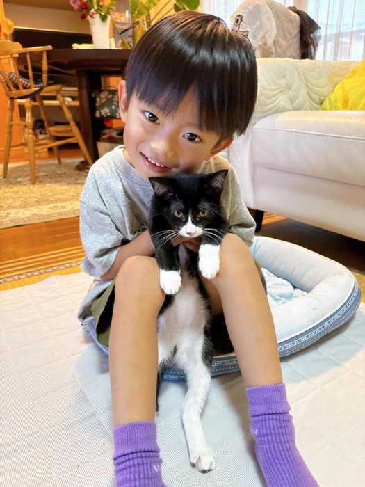 猫をだっこする子ども