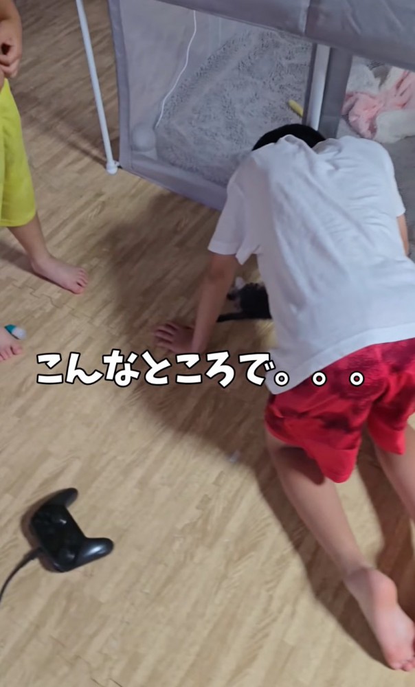 見つめる息子さんたち