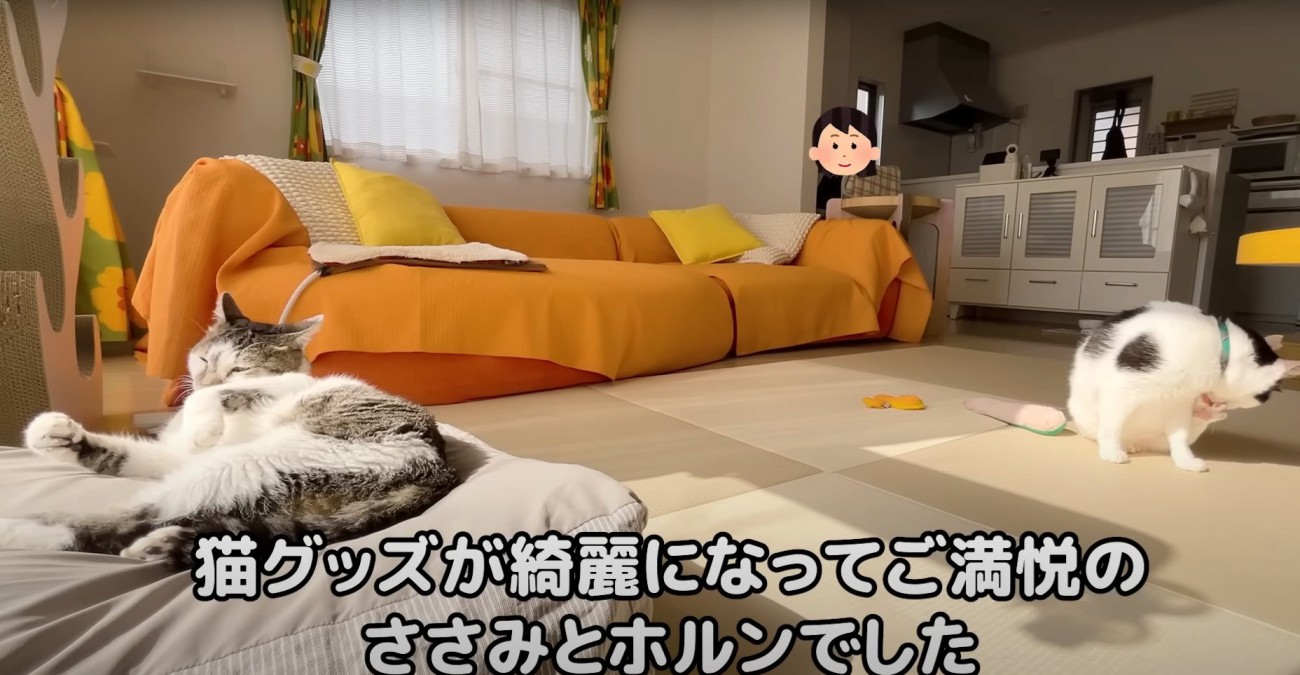 各々のくつろぎ方をする2匹の猫