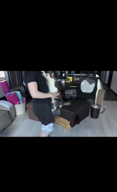 人に抱かれている猫