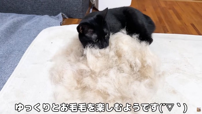 テロップ「ゆっくりと～」