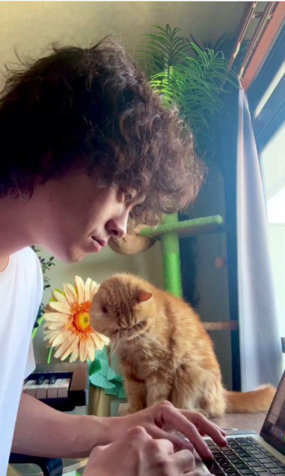 人の作業を見守っている猫