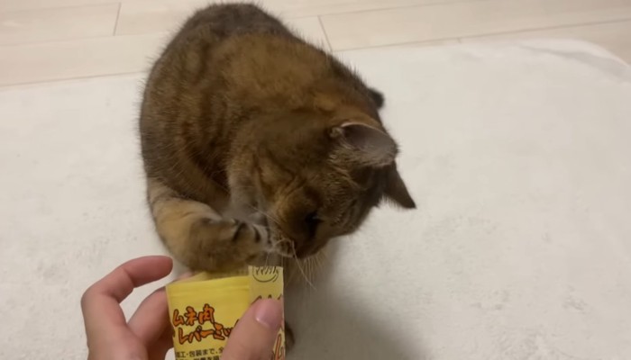 おやつを口の中に