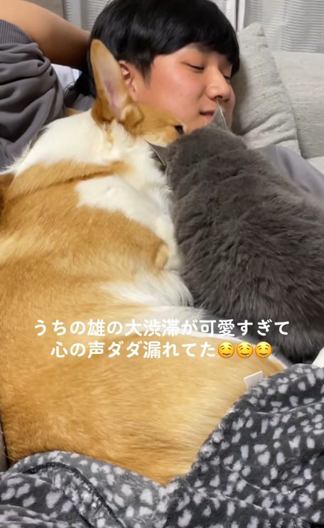 犬と猫と寝ている飼い主
