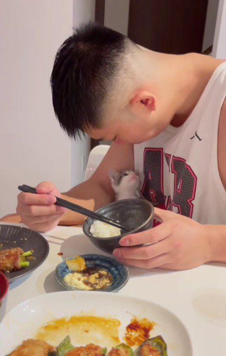 食事中の男性と子猫