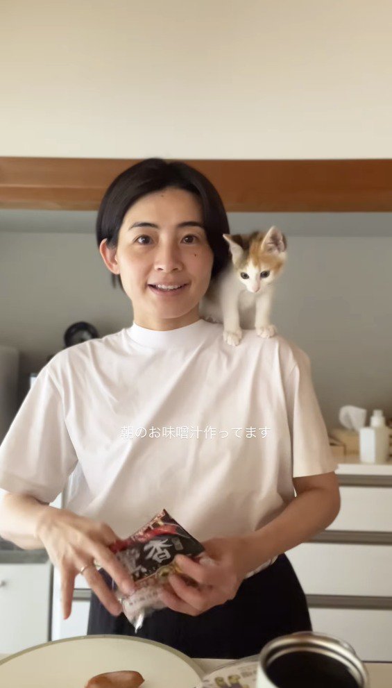 女性が持っているウインナーの袋を見つめる子猫