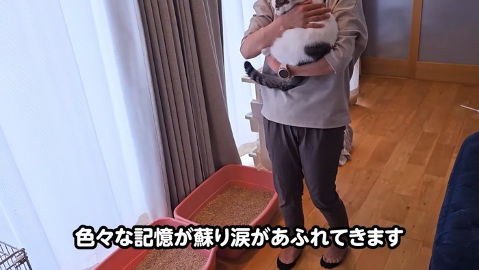 抱っこされる猫