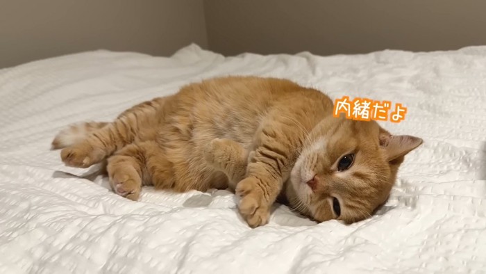 内緒だよ