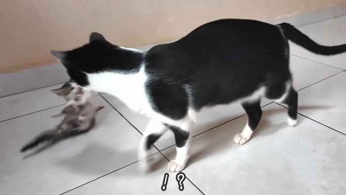 テロップ「！？」