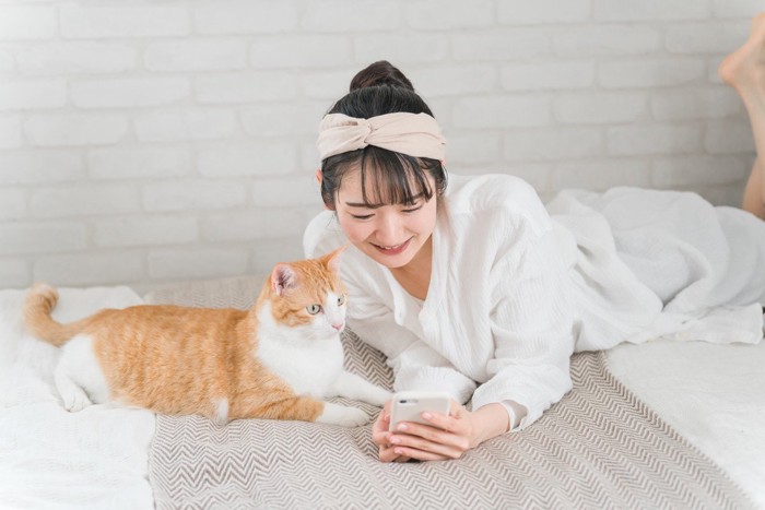 ベッドでスマホを見る女性と猫