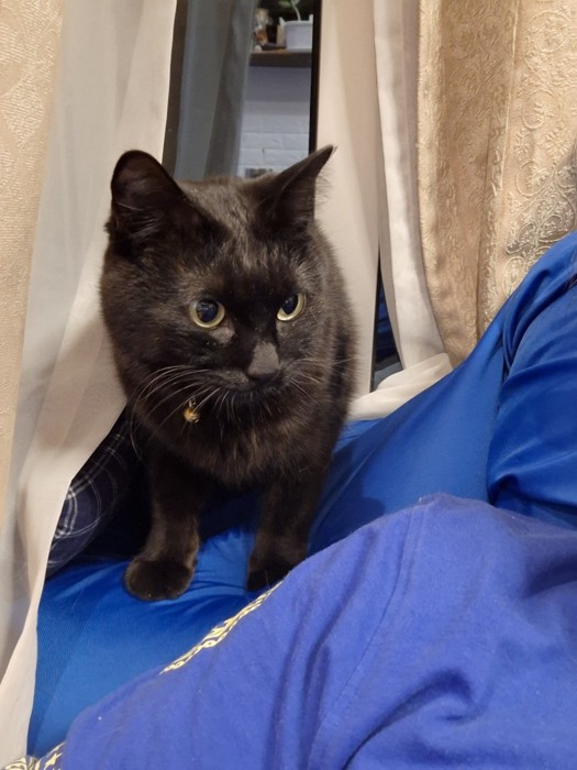 座っているジェイクくん