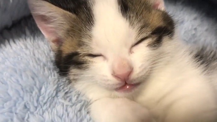 目を閉じた顔のアップ