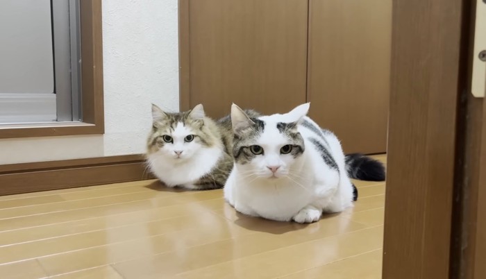 ふたりのアップ
