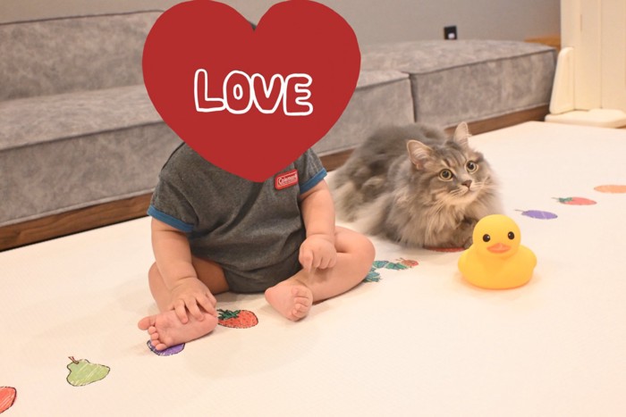 赤ちゃんと猫
