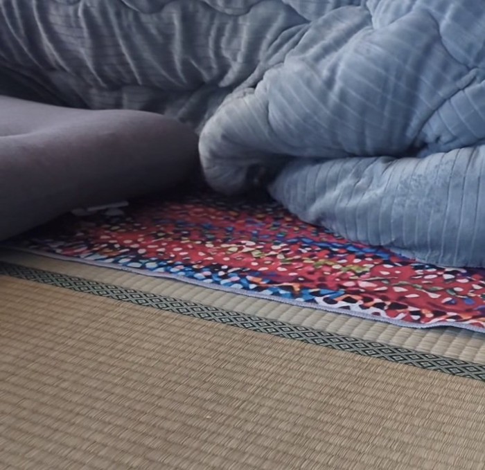 子猫が留守番している部屋