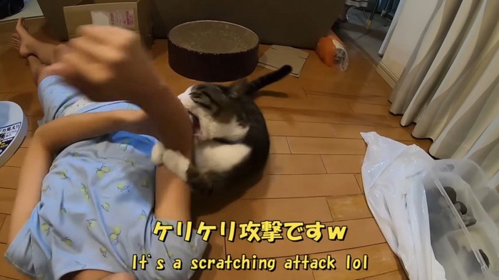 ケリケリ攻撃です