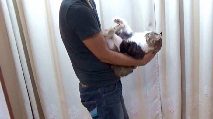 横から