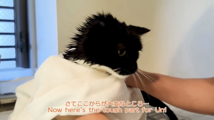 「さてここから...」のテロップ写真