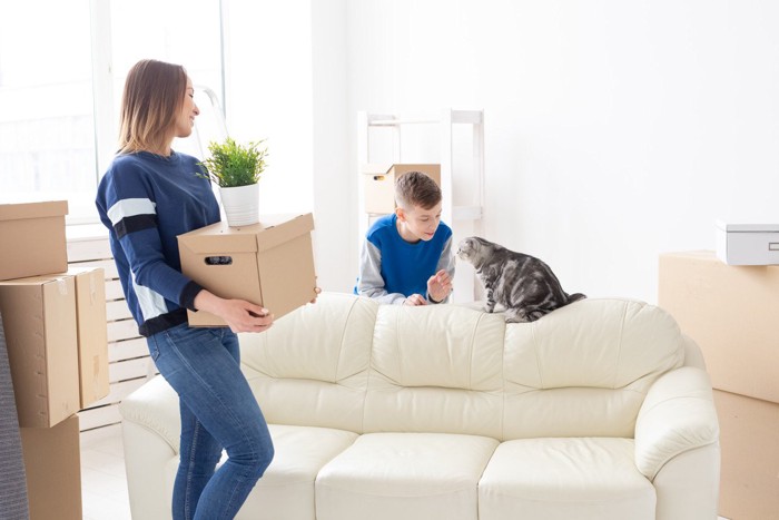 新居で荷解きする家族と猫