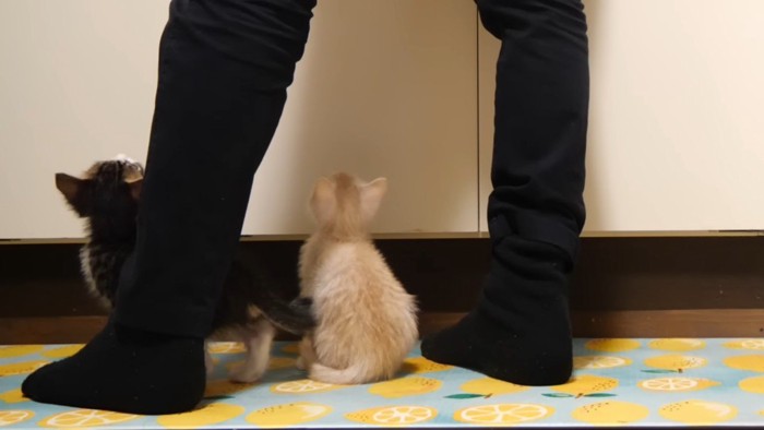 ふたりの後ろ姿