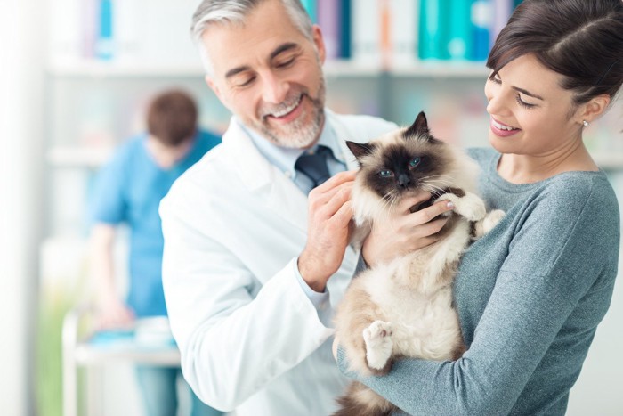 動物病院にて猫と医師、女性