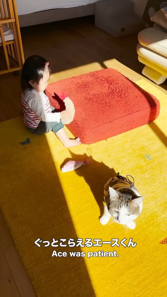 猫用おもちゃで遊ぶ赤ちゃんとママに助けを求めるキジ白猫