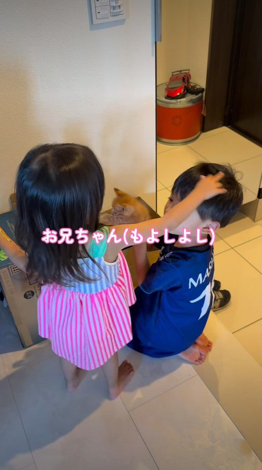 男の子を撫でる女の子