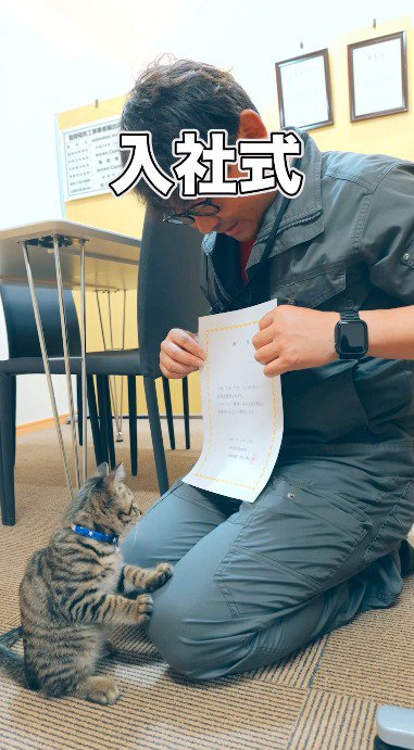 辞令を読み上げる社長のひざに前足を乗せる子猫