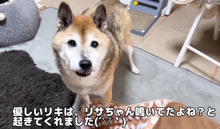 リサちゃんを見つめるリキくん