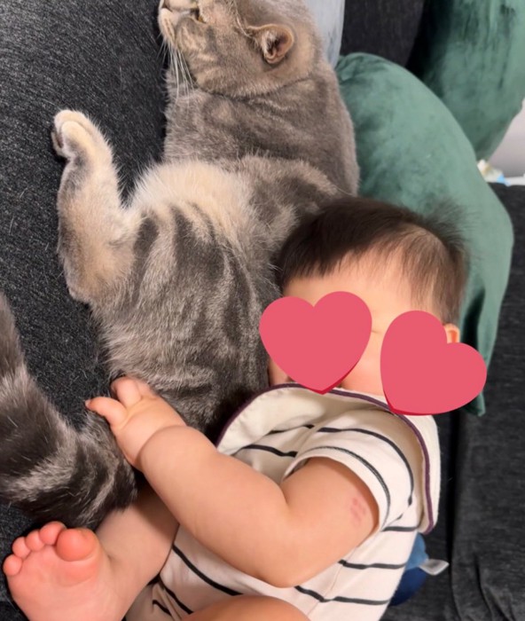 猫に寄りかかる赤ちゃん